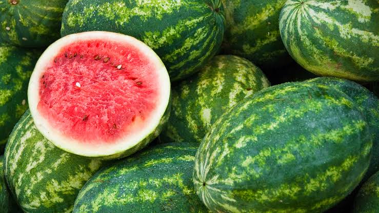 WATER MELONS (40Kg / Approx 8 Units)