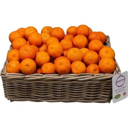 EASY PEELER ORANGES (40 Kg)