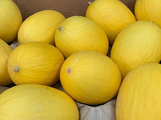 Honeydew Melon (40 Kg / Approx 20 Units)
